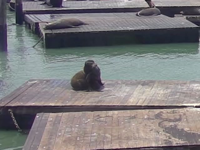 Last sighting screenshot from Pier 39 K-Dock